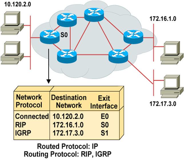 What Is a Routing Protocol?
