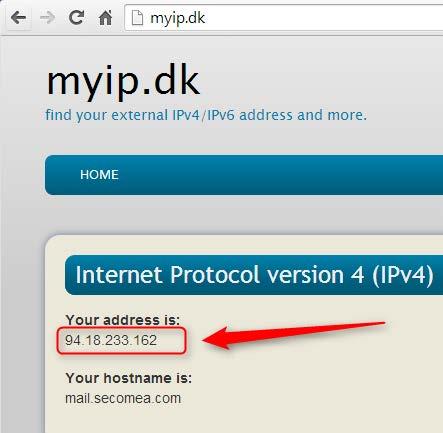 You can check your public address by one of the many websites providing such information, such as www.myip.