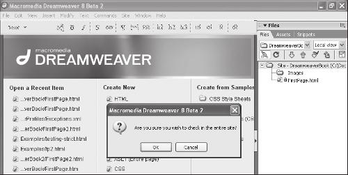 Dreamweaver provides a check-in/check-out system that prevents two developers from working on the same file at the same time.