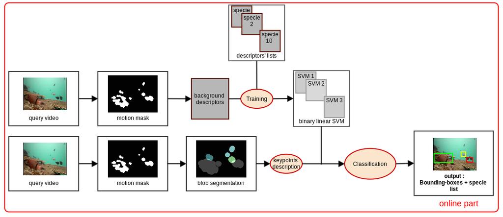 Figure 6: Our processing chain from acquiring test video to detection and identification Figure 7: From left to right:(a) original frame, (b) the detected and positively classified keypoints with the