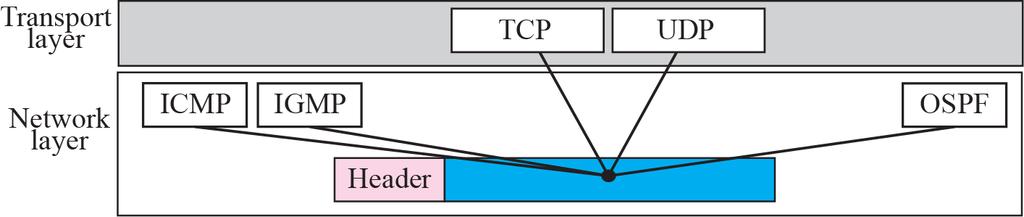 IP Datagram Identification used in fragmentation Flags used in fragmentation Fragmentation offset used in fragmentation Time to