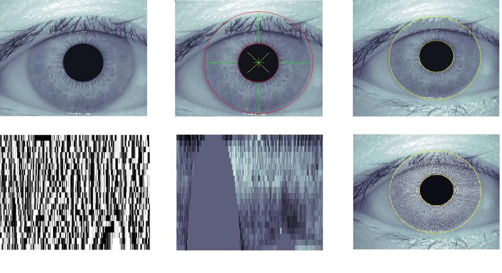 Original Iris Image (a) Segmented Iris (b) In band noise removal (c) Iris Template (f) Normalized Iris (e) Radial Resolution (d) Figure 7. Complete algorithm in snap shot.