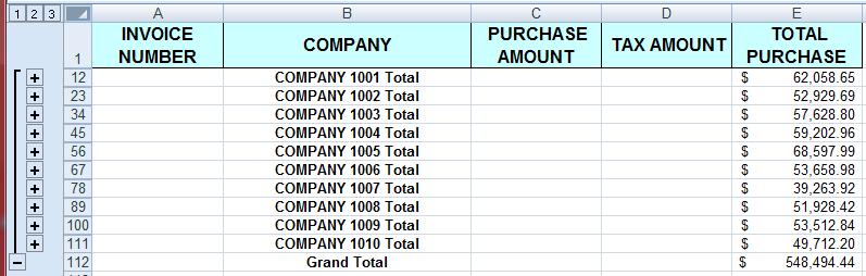 Select SUM in the Use function: drop down list. The SUM function will add the totals of the columns we select. Place a check in TOTAL PURCHASE for our example.