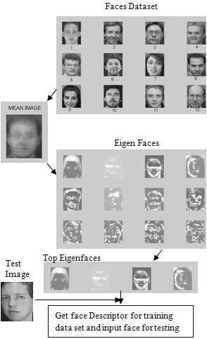 For testing the whole database, the faces used in training, testing and recognition are changed and the recognition performance is given for whole database.