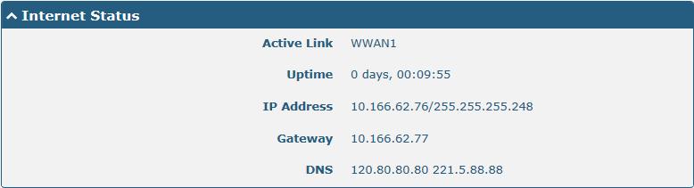 Internet Status Item Active Link Uptime IP Address Gateway DNS Internet Status Description Show the current active link. Show the current amount of time the link has been connected.