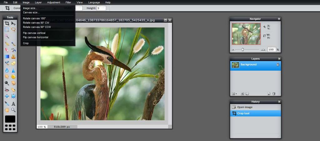 Pixlr tip: resizing Resizing to a Width = 150px Max file size