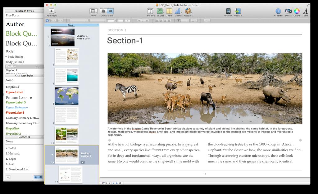 3 Click the Add Pages button in the toolbar to add new chapters, sections and page layouts to your book. You can also add Microsoft Word or Pages documents by dragging them to the Book pane.