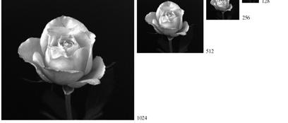 discernible detail in an image Sampling is the principle factor Often defined by line pairs per mm Gray-Level