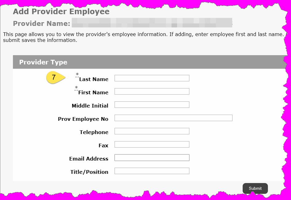 "Add Provider Employee" page Step 7 Enter Required records and
