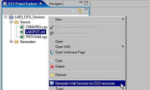 Section 5. Generate the required elements Now you need to generate the converter driver, input and output converters, XML schemas, WSDL, and the required CICS file (WSBind). 1.