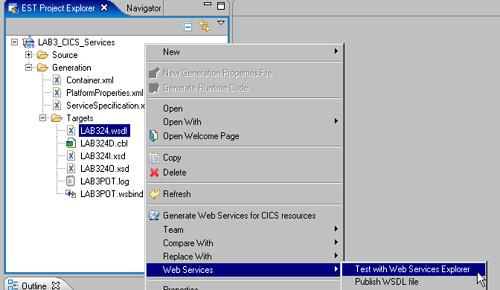 2. Be patient (you are under VMWARE). After a while, the Web Services Explorer will launch in a Web Browser view, as shown in Figure 35