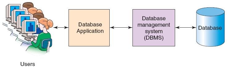 Components of a Database