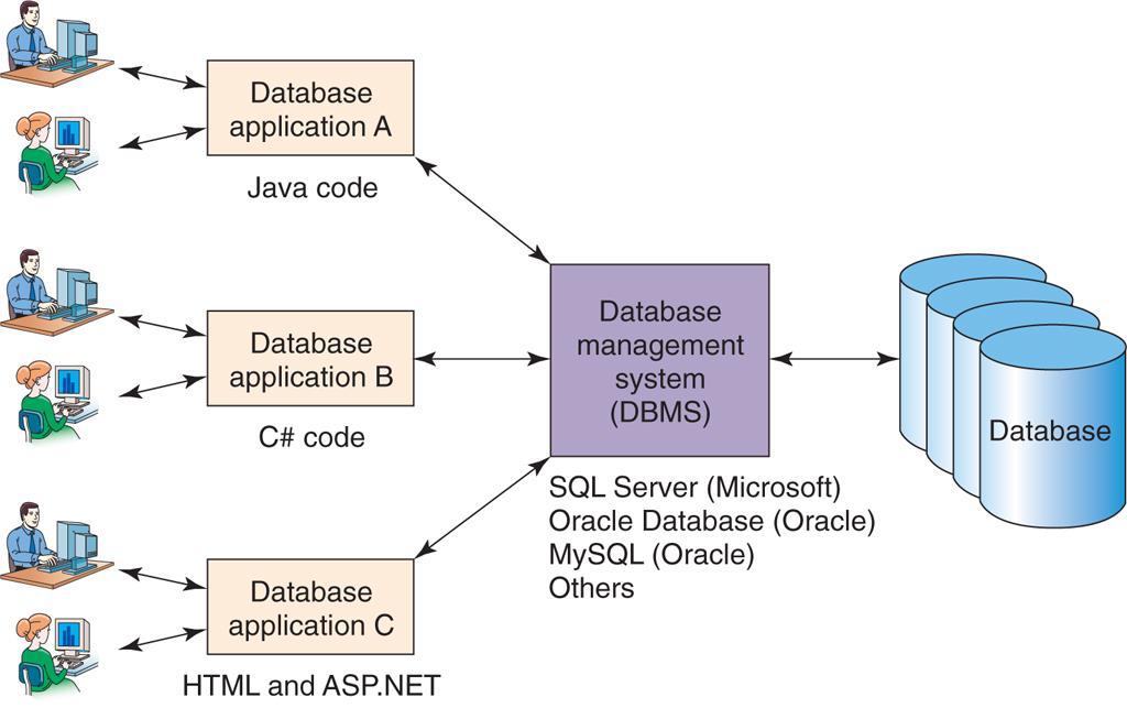Organizational Database