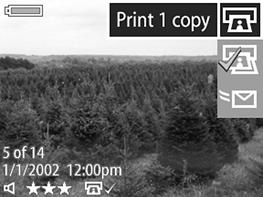4 1 2 3 # Icon Description 1 Print 1 copy of current image at a standard size. If paper size is 4x6 or 8.5x11, the picture is printed 4x6.