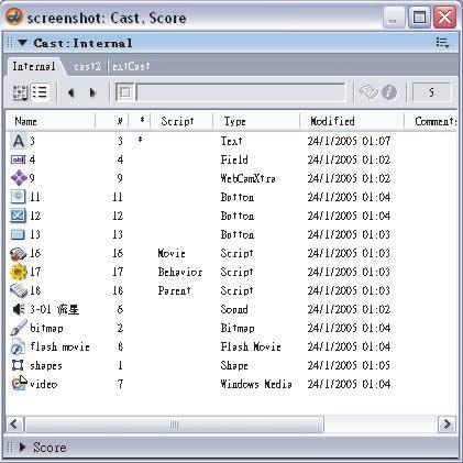 Director s Terminology Movie Cast Member Score Frame Channel Sprite The primary Director file. It contains one or more Casts and a Score. It s the only Director file you need for most productions.