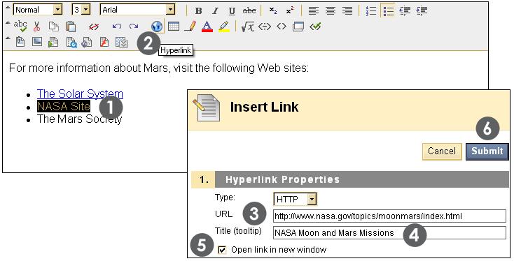 Inserting URLs Use the Hyperlink function to include links to Web sites. QUICK STEPS: inserting URLs 1 In the Text Editor, select the text the user will click to access the Web site.