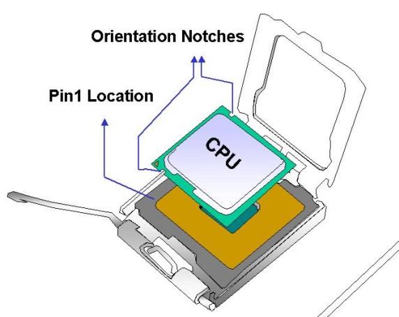 Figure 5-4: Insert the Socket LGA775 CPU Step 8: Close the CPU socket. Close the load plate and engage the load lever by pushing it back to its original position.