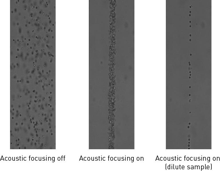 Acoustic focusing The objective in flow cytometry is to measure the properties of individual particles as they move through the laser beam.