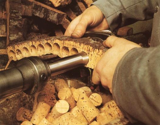 Neskôr v roku 1670 bolo zistené, že korok umožňuje i kvasenie vína, čo dalo svetu sekt. Kvalitná korková zátka je vyrobená z prírodnej masívnej korkovej kôry.