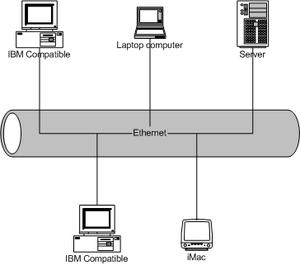 Local Area Network (LAN) A local area