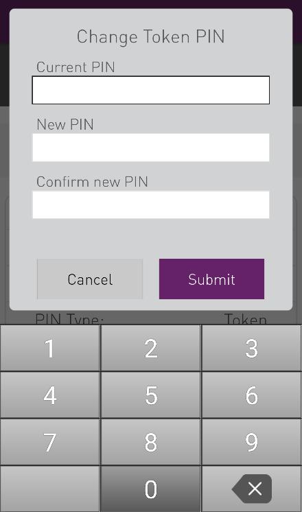 4. In the CHANGE TOKEN PIN screen, enter the Current PIN. 5.