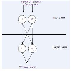 VI. HOW KOHNEN WORK WITHIN NEURAL NETWORK The Kohonen neural network contains only an input and output layer of neurons.