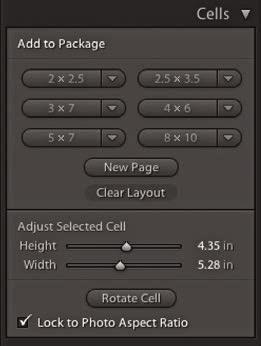 These options allow you to adjust the relative position of a cell, moving it either to the front or to the back of the Custom Package page layout.