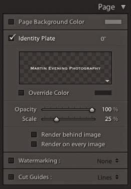 Here, I checked the Identity Plate option in the Overlays panel and adjusted the settings as shown on the left to add an identity plate in the bottom-right corner.
