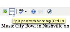 Using the <more> tag If too much of your post description is appearing on the home page or somewhere else, you can use