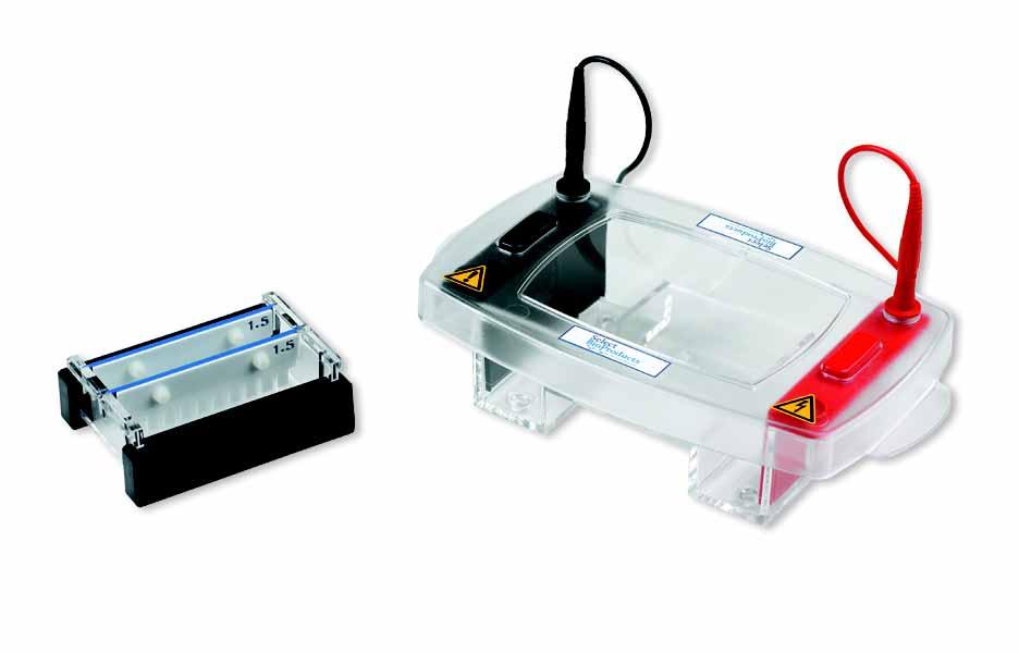 SBE1007-7 Select BioProducts Mini 10 This mini-gel system comes complete with a 10 cm tray, maximizing the number of samples that can be run in a unit with a small