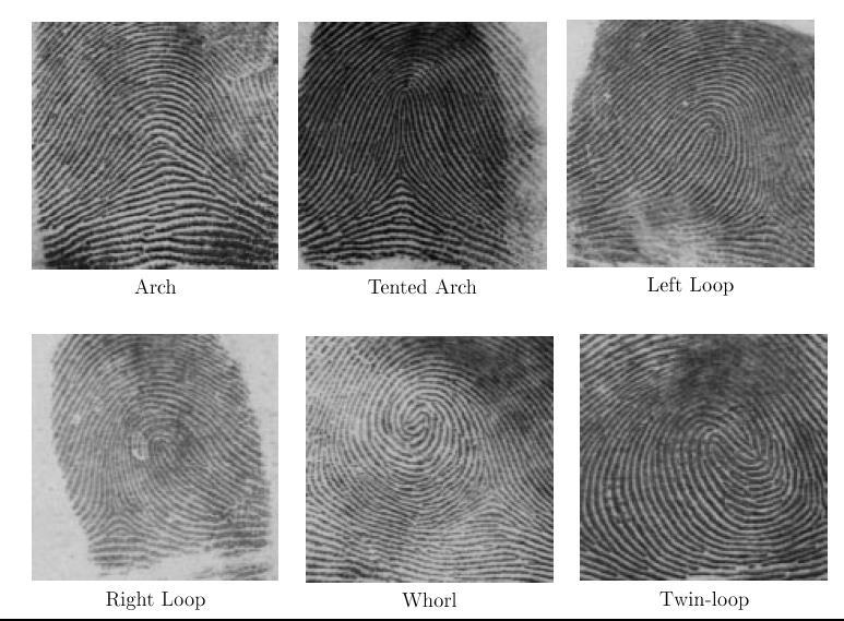 Figure.1 Sample finger print Hence, by classifying fingerprints on the above basis we can make the database to be searched much smaller.