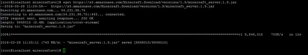 Verify if Java had been successfully installed Download Minecraft Server Jar file Now that we had java installed, we are ready to download our Server file as shown. wget https://s3.amazonaws.