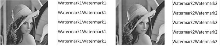The two watermarks are extracted using equations (3) and (4) with correlation measure equal to one. Fig.2. Original image Fig.3. Watermark 1 Fig.4. Spatially watermarked Fig.5.