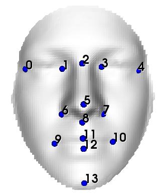 Directional projection extrema: assuming the tip of the nose is the closest point to the 3D camera, or more generally the most extreme point along a particular direction ([7][9]).