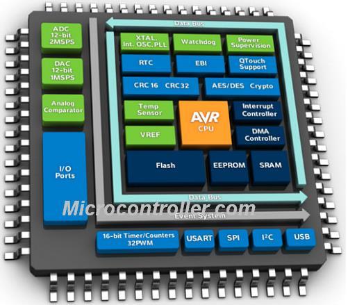 Microcontroller Based
