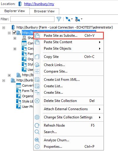 . 4. The Configure Site Copy Options window will open where you