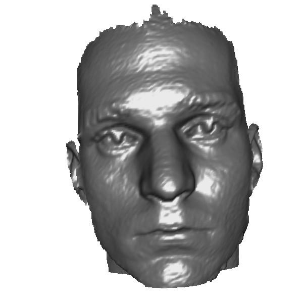 face is missing, the derived geometry and normal images describe the full face.