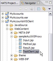 When this jsp is run on the server it can be used to drive your client application. 142. Now notice that the TestClient.
