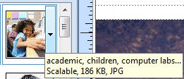 Notice, at the top of the Clip Art Task Pane (at the left), there is a Search for: area.