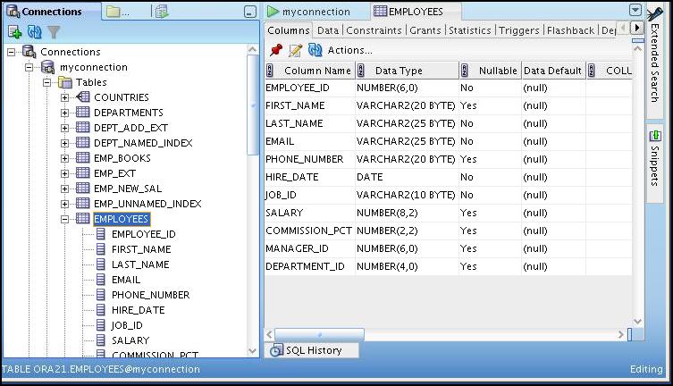 Browsing Database Objects Use the Connections Navigator to: Browse through many objects in a database schema Review the definitions of objects at a glance Browsing Database Objects Copyright 2010,