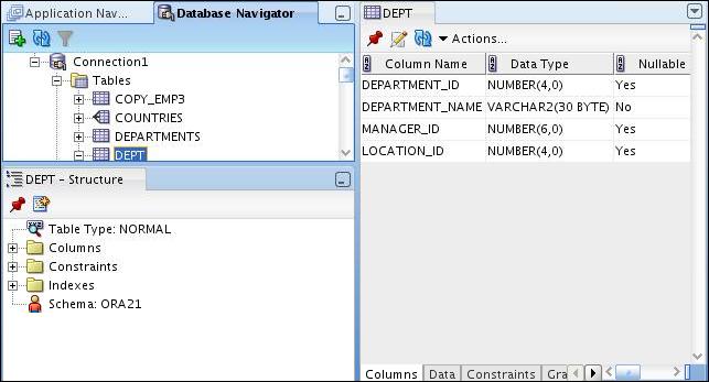 Browsing Database Objects Use the Database Navigator to: Browse through many objects in a database schema Review the definitions of objects at a glance Browsing Database Objects Copyright 2010,