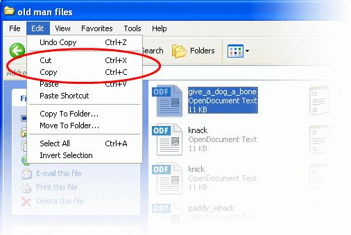 Tip: Use Control/Shift keys to select multiple folders/files at once.