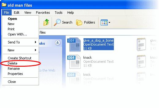 Deleting Folders/Files from Your Online Storage You can delete files and folders in your online storage space, as you do with your local storage drives through Windows