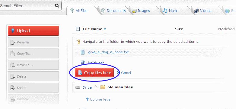 Navigate to the destination folder to which the items have to be copied from the file structure displayed in the lower pane.
