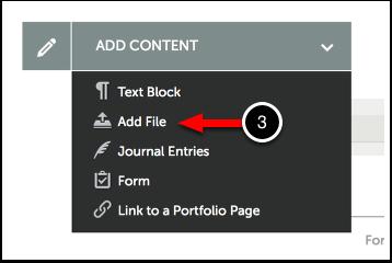 3. Use the Add Content menu to select Add File.