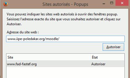 When I open the options of my browser (Mozilla) I can see (see the picture next page, sorry it is in French) that popup windows are blocked, but also that I can create exceptions (button