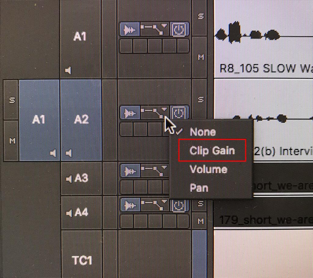 Rock Climber Exercise 1 5.Click the Play IN to OUT button in the Toolbar under the Source monitor or press 6 on the keyboard to listen to the section. 6.We only want his audio, so deselect V1 on the source side.