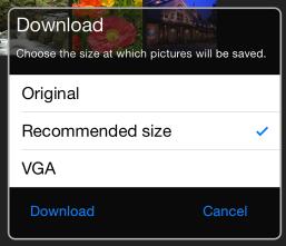 Yes to download the pictures at the size selected for Image size in the Settings