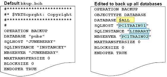 Example Diagrams: Microsoft SQL Server Batch files examples The sample batch files bkup.bch and rest.