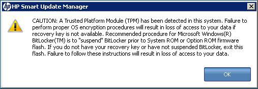 temporarily disable BitLocker and does not cancel the flash, the BitLocker recovery key is needed to access the user data upon reboot.